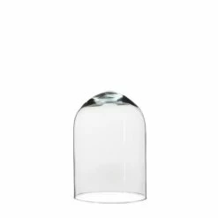 Promo ???? Cloche Verre Transparent H21,5cm ????