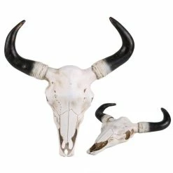 Nouveau ❤️ Crane De Vache En Déco Murale ????