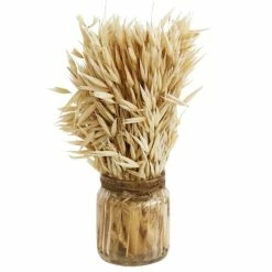 Nouveau ???? Epis Séchés Dans Flacon En Verre H18cm ????