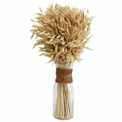 Offres ❤️ Epis Séchés Dans Flacon En Verre H28cm ????