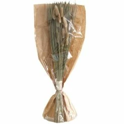 Meilleure vente ???? Fleurs Séchées En Bouquet Dans Sachet Kraft H55/60cm ????
