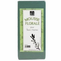 Budget ???? Mousse Verte Pour Piquer Des Fleurs Artificielles Ou Sechées L11cm ✔️