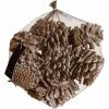 Meilleure vente ???? Pommes De Pin Givrées - Sachet 300g ????