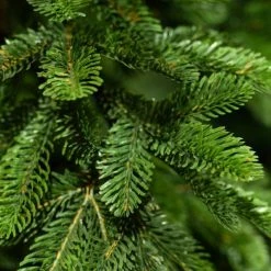 Remise ???? Sapin Artificiel Alpine Ø36xH150cm ????