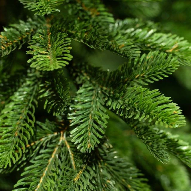 Sapin artificiel Alpine Ø36xH150cm Remise ???? Sapin Artificiel Alpine Ø36xH150cm ???? -LED Shop sapin artificiel alpine