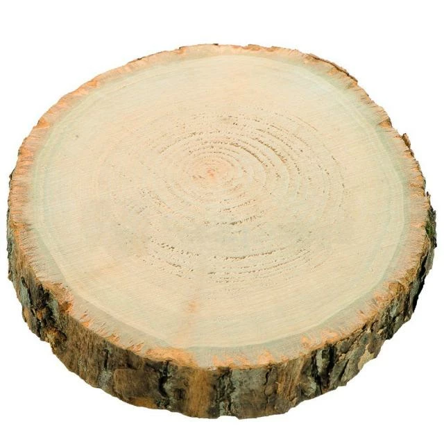 Tranche de bois brut Ø17cm x ép2cm Nouveau ???? Tranche De Bois Brut Ø17cm X ép2cm ???? -LED Shop tranche de bois brut o17cm x ep2cm 01